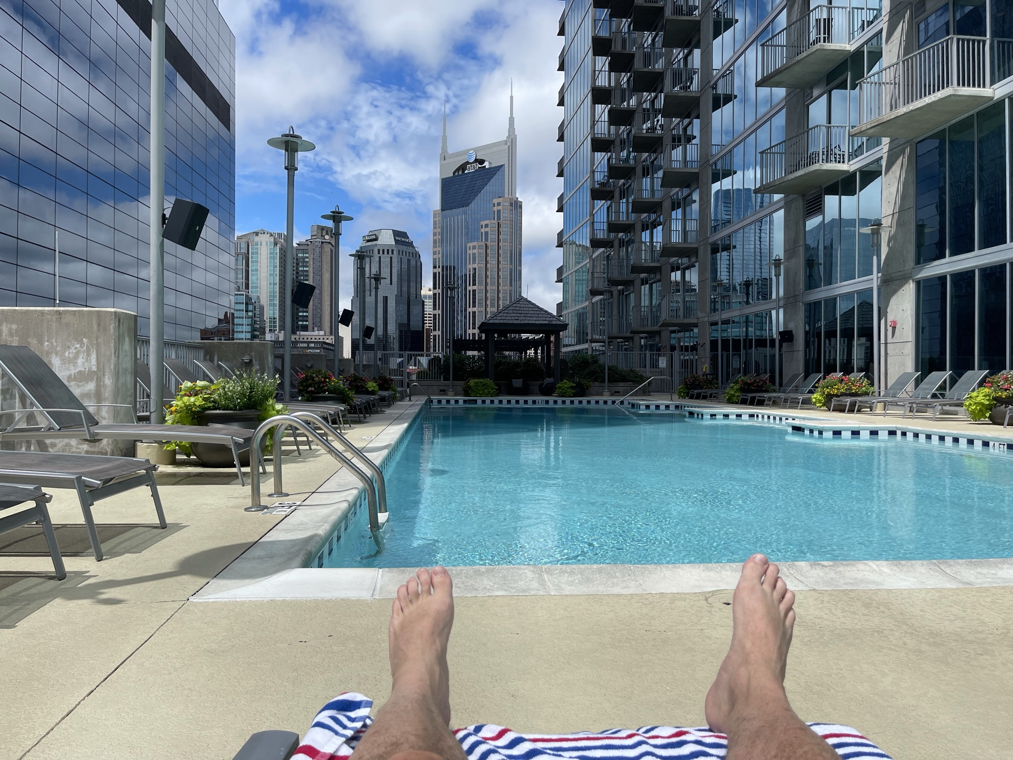 The View